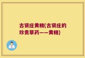 古贤庄黄精(古贤庄的珍贵草药——黄精)