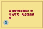 卖湿黄精(湿黄精：神奇的草药，助您健康美丽)