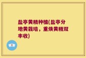 盐亭黄精种植(盐亭分地黄栽培，重焕黄精双丰收)