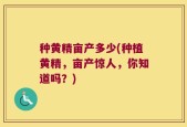 种黄精亩产多少(种植黄精，亩产惊人，你知道吗？)