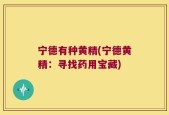 宁德有种黄精(宁德黄精：寻找药用宝藏)