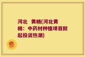 河北  黄精(河北黄精：中药材种植项目掀起投资热潮)