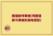 腊猪脚炖黄精(炖腊猪脚与黄精的美味搭配)
