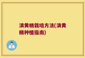 滇黄精栽培方法(滇黄精种植指南)