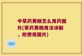 中草药黄精怎么用药图片(草药黄精用法详解，附使用图片)