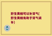 野生黄精可以补肾气(野生黄精有助于肾气调补)