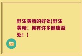 野生黄精的好处(野生黄精：拥有许多健康益处！)