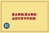 惠水黄精(惠水黄精：山区珍贵中药资源)