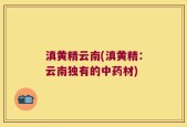 滇黄精云南(滇黄精：云南独有的中药材)