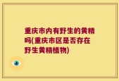 重庆市内有野生的黄精吗(重庆市区是否存在野生黄精植物)