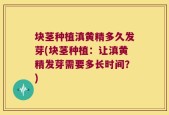 块茎种植滇黄精多久发芽(块茎种植：让滇黄精发芽需要多长时间？)