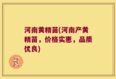 河南黄精苗(河南产黄精苗，价格实惠，品质优良)
