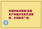安国种植滇黄精(安国农户种植珍贵草药滇黄精，市场前景广阔)