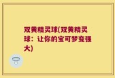 双黄精灵球(双黄精灵球：让你的宝可梦变强大)