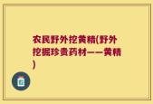 农民野外挖黄精(野外挖掘珍贵药材——黄精)
