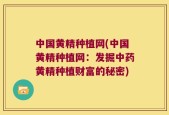中国黄精种植网(中国黄精种植网：发掘中药黄精种植财富的秘密)
