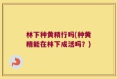 林下种黄精行吗(种黄精能在林下成活吗？)