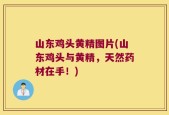 山东鸡头黄精图片(山东鸡头与黄精，天然药材在手！)