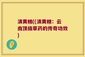 滇黄精((滇黄精：云南顶级草药的传奇功效)
