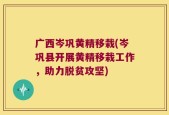 广西岑巩黄精移栽(岑巩县开展黄精移栽工作，助力脱贫攻坚)