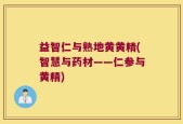 益智仁与熟地黄黄精(智慧与药材——仁参与黄精)