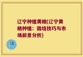辽宁种植黄精(辽宁黄精种植：栽培技巧与市场前景分析)