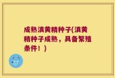 成熟滇黄精种子(滇黄精种子成熟，具备繁殖条件！)