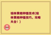 榆林黄精种植技术(榆林黄精种植技巧，攻略大全！)