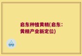 启东种植黄精(启东：黄精产业新定位)