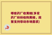 哪些药厂收黄精(多家药厂纷纷收购黄精，政策支持带动市场需求)
