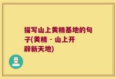 描写山上黄精基地的句子(黄精 - 山上开辟新天地)
