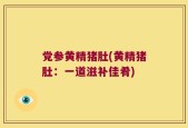 党参黄精猪肚(黄精猪肚：一道滋补佳肴)