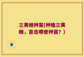 三黄精种苗(种植三黄精，首选哪些种苗？)