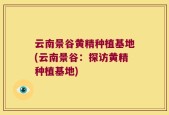 云南景谷黄精种植基地(云南景谷：探访黄精种植基地)