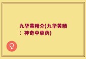 九华黄精介(九华黄精：神奇中草药)