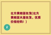 北方黄精苗批发(北方黄精苗大量批发，优质价格抢购！)