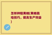 怎样种赔黄精(黄精栽培技巧，提高生产效益)