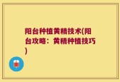 阳台种植黄精技术(阳台攻略：黄精种植技巧)