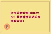 沂水黄精种植(山东沂水：黄精种植带动农民增收致富)