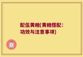 配伍黄精(黄精搭配：功效与注意事项)