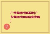 广州黄精种植基地(广东黄精种植场培育发展)
