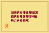 湖南农村种植黄精(湖南农村开展黄精种植，助力乡村振兴)