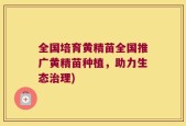 全国培育黄精苗全国推广黄精苗种植，助力生态治理)