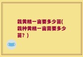 栽黄精一亩要多少苗(栽种黄精一亩需要多少苗？)