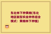 东北林下种黄精(东北地区新型农业种养结合模式：黄精林下种植)