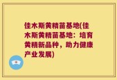 佳木斯黄精苗基地(佳木斯黄精苗基地：培育黄精新品种，助力健康产业发展)