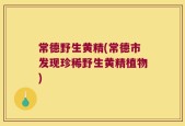 常德野生黄精(常德市发现珍稀野生黄精植物)