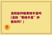 洛阳能种植黄精半夏吗(洛阳“黄精半夏”种植如何？)