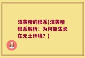滇黄精的根系(滇黄精根系解析：为何能生长在无土环境？)