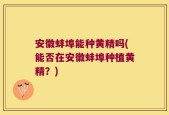 安徽蚌埠能种黄精吗(能否在安徽蚌埠种植黄精？)